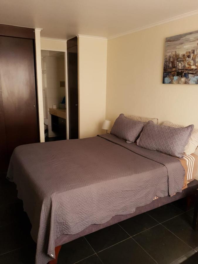Departamento Con Terraza R&M Apartment Santiago de Chile Bagian luar foto